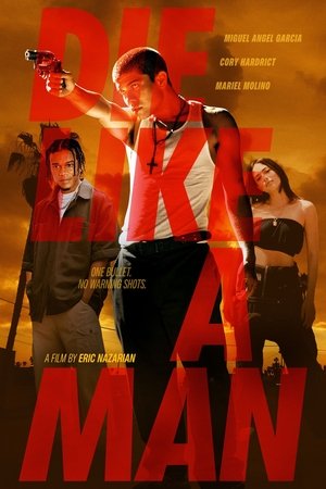 Die Like a Man (2025) WEBRIP Hindi (MULTI AUDIO) 720p – 480p – 1080p