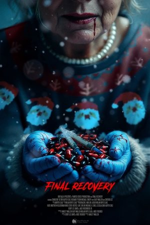 Final Recovery (2024) WEBRIP Hindi (MULTI AUDIO) 720p – 480p – 1080p
